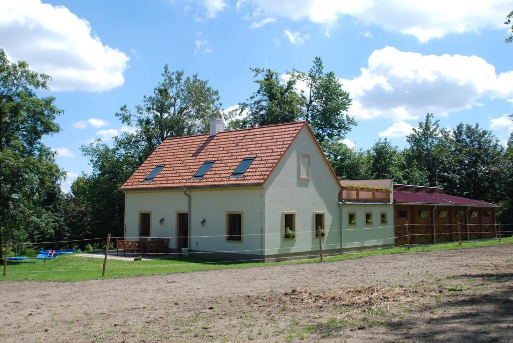 Penzion Staj Navary Apartment Bagian luar foto